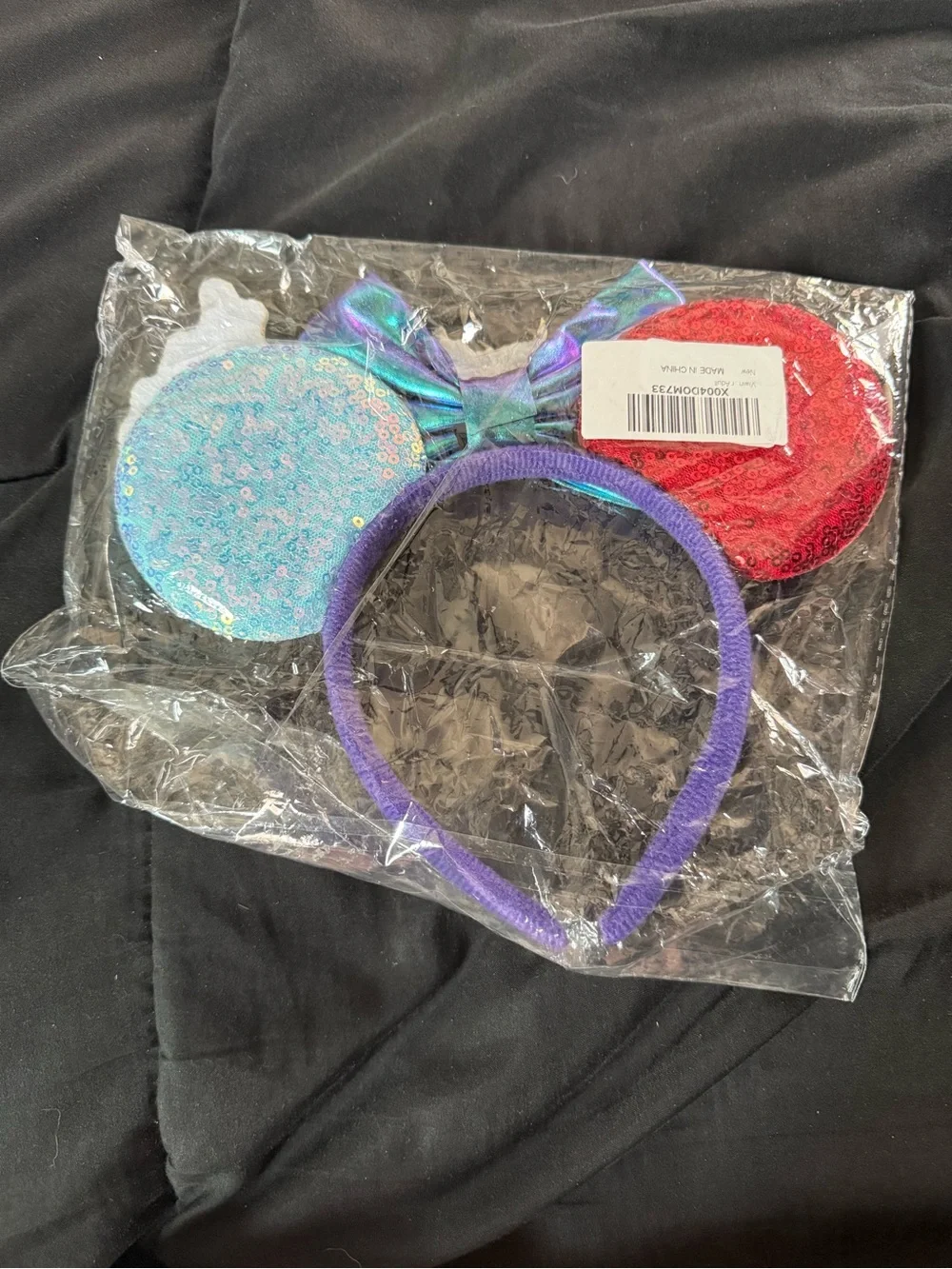 Elemental Mickey Ears